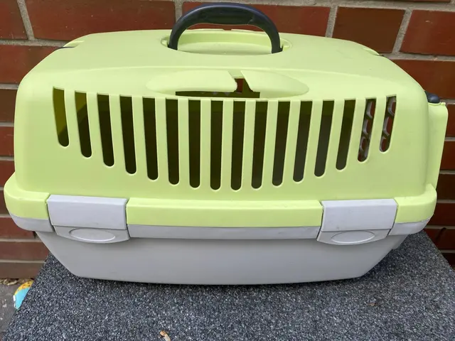 Wer hat die Katze und den Kater in dieser Box ausgesetzt? Hinweise werden erbeten | Foto: Tierheim Buchholz