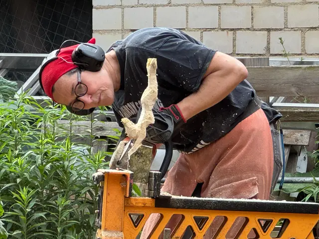 Sägevorführungen mit der Kettensäge | Foto: Ragna Reusch