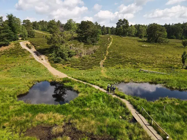 Durch badende Hunde wurde an den Feenteichen der Froschnachwuchs zerstört.

 | Foto: Landkreis Harburg