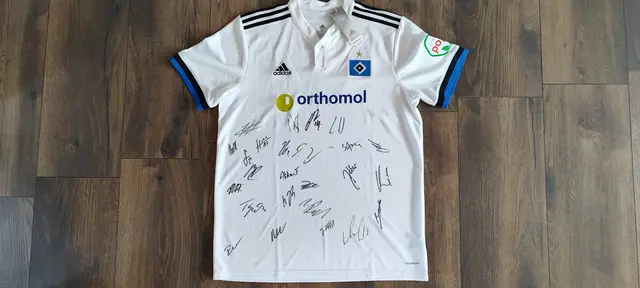 Das Trikot der Saison 2021/22, ein Unikat  | Foto: Hendrik Hahn, Saalkreisdinos 