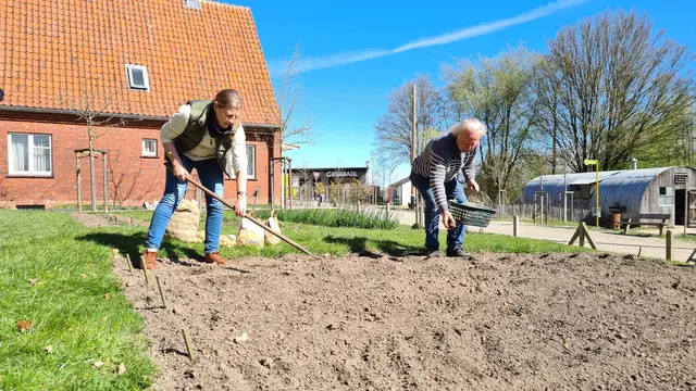 Sybille Kahnenbley und Karsten Ellenberg pflanzen die „Alte Kartoffel des Jahres“ 2026 | Foto: FLMK