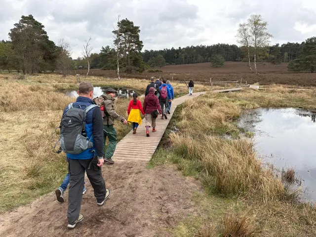 Die Stege innerhalb des Büsenbachtals | Foto: Verein