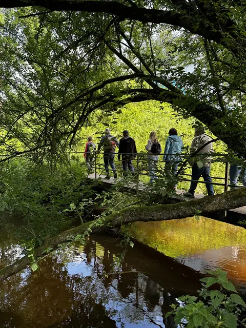 Auf der abwechslungsreichen Wanderstrecke durch Wald- und Wiesenlandschaften in Harsefeld kann nach Feierabend geführt gewandert werden | Foto: Lea Stölpe
