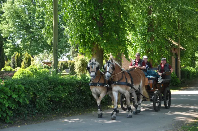 Mit der Kutsche geht es zum Pfingstgottesdienst | Foto: Sabine Büther