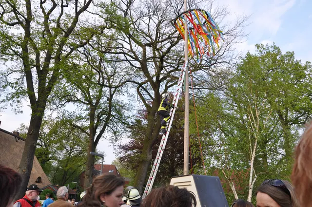 Nach sechs Jahren Pause wird in Jesteburg wieder ein Maibaum aufgestellt | Foto: Alexander Schaal