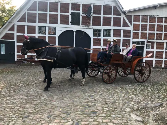 Mit der Kutsche geht es zum Pfingstgottesdienst | Foto: Sabine Büther