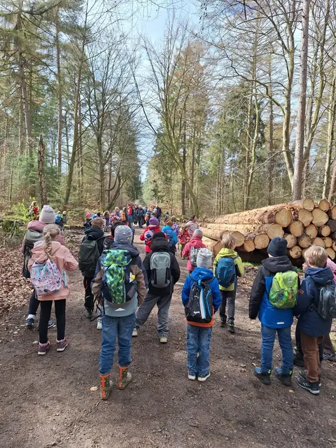 Die Kinder hatten viel Spaß bei der Waldrallye | Foto: Grundschule Steinkirchen