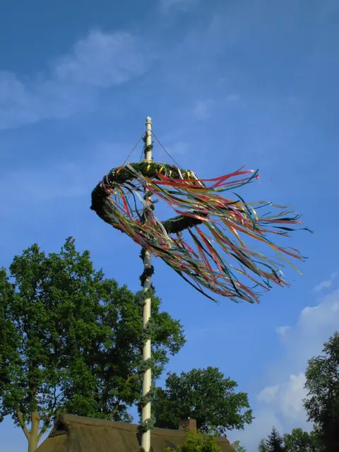 Maibaum  | Foto: Heimatverein Egestorf