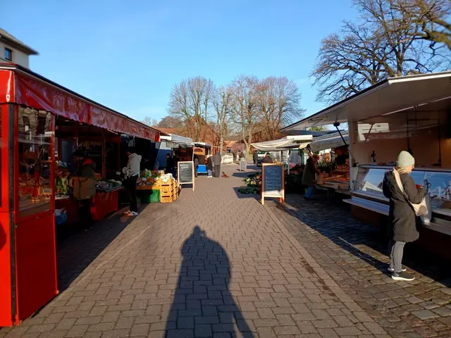 Der Tostedter Wochenmarkt wird wegen des Feiertages verlegt | Foto: Gemeinde Tostedt