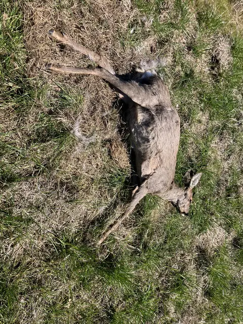 Foto: Bernard Wegner