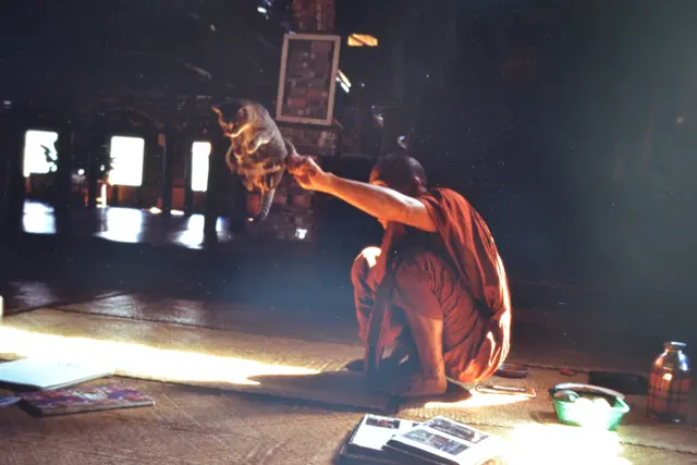 Wer soviel reist, lernt haufenweise Skurilitäten kennen. Hier sehen wir einen Mönch, der eine Katze(!) dressiert hat. | Foto: Hermann Isenberg