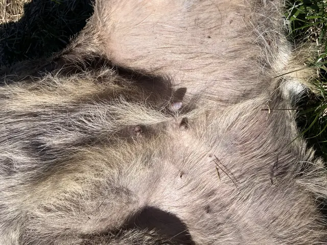 Foto: Bernard Wegner