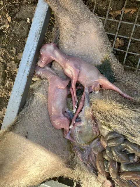 Foto: Bernard Wegner