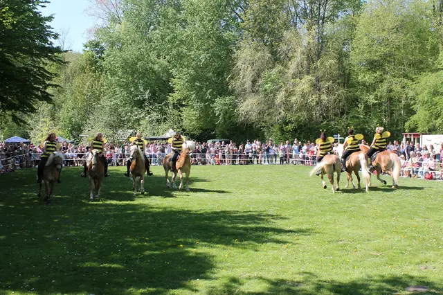Die Haflingerfreunde Kreis Cuxhaven begeistern stets mit ihren farbenprächtigen Kostümen. | Foto: Jothe/Natureum