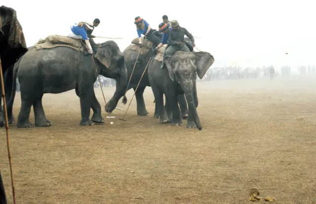 Elefanten-Polo in Nepal | Foto: Hermann Isenberg
