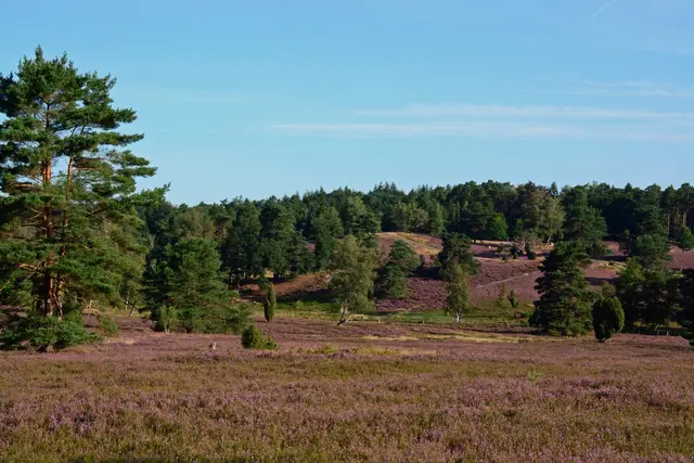 Foto: Sabine Wolansky