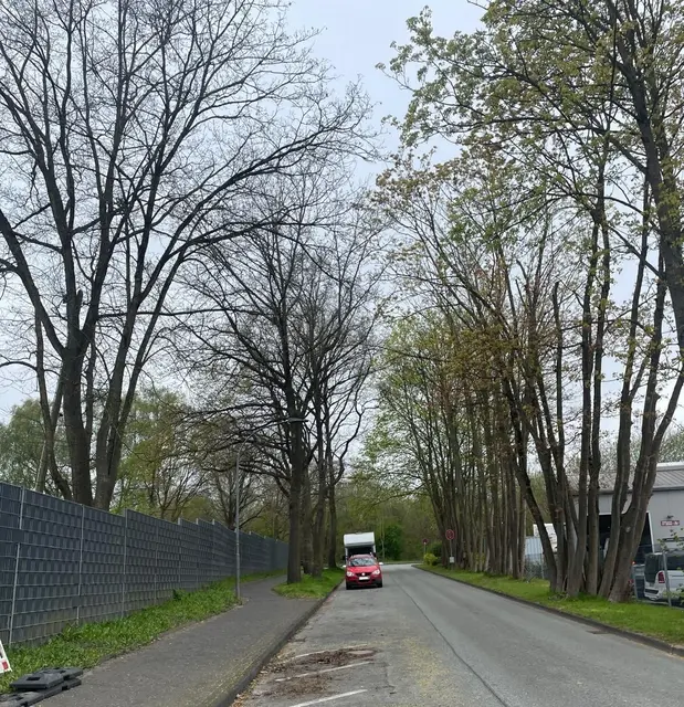 Am Ende der Bürgermeister-Reichel-Straße beginnt die auch am Hittfelder Bahnhof vorbeiführende Gustav-Becker-Straße | Foto: sra