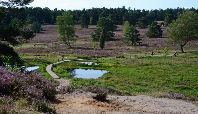 Foto: Sabine Wolansky