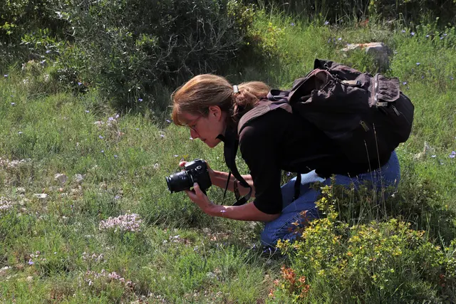 Foto: Sabine Wolansky