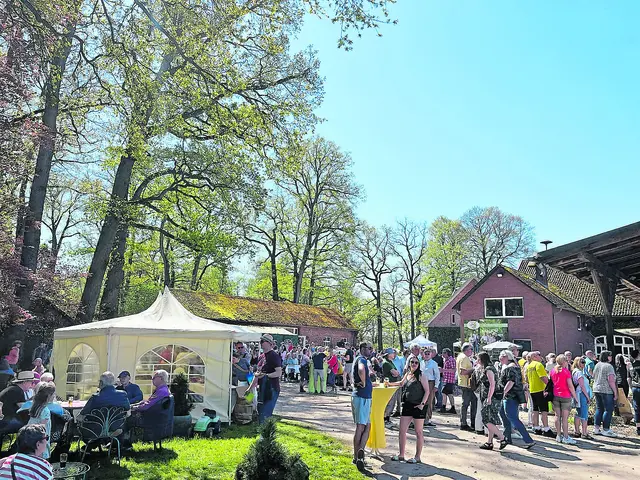 Buntes Treiben auf dem Hofplatz  | Foto: Cassenshof
