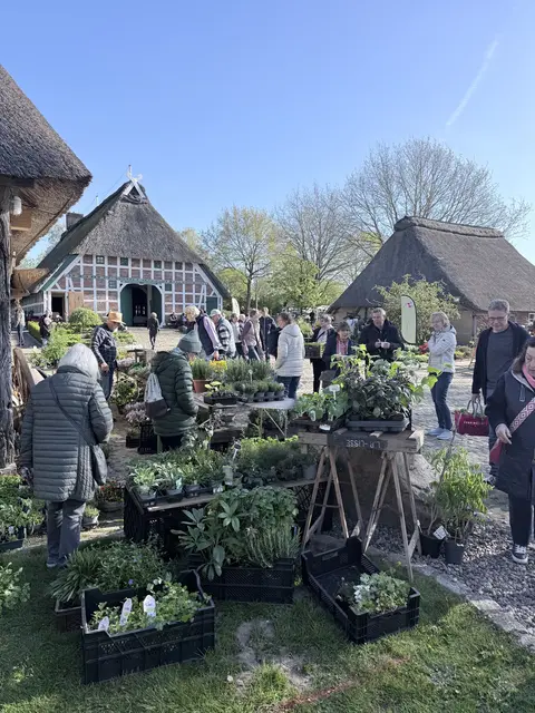 Foto: Kranzbinder Beckdorf