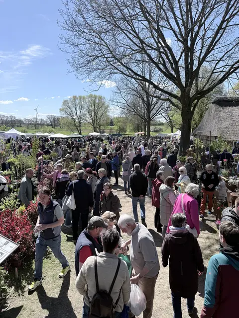 Tausende Besucher auf dem Pflanzenmarkt in Beckdorf | Foto: Kranzbinder Beckdorf