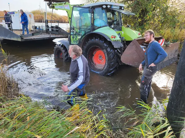 Mit mehreren Traktoren wird die Fähre an Land gezogen | Foto: Burkhard Ziemens