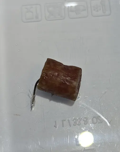 Sichergestellter Wurstköder mit Angelhaken | Foto: Pressestelle PI Harburg