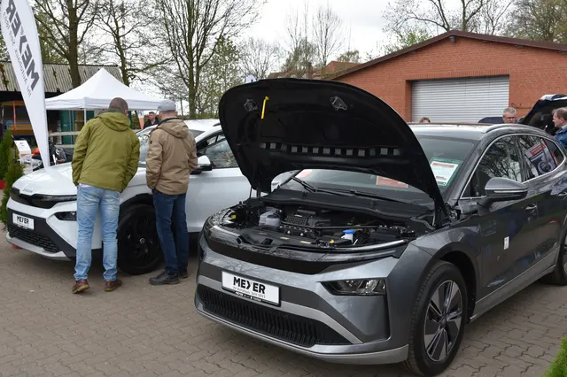 Foto: Die Haus & Garten WELT/Henry Bielefeldt