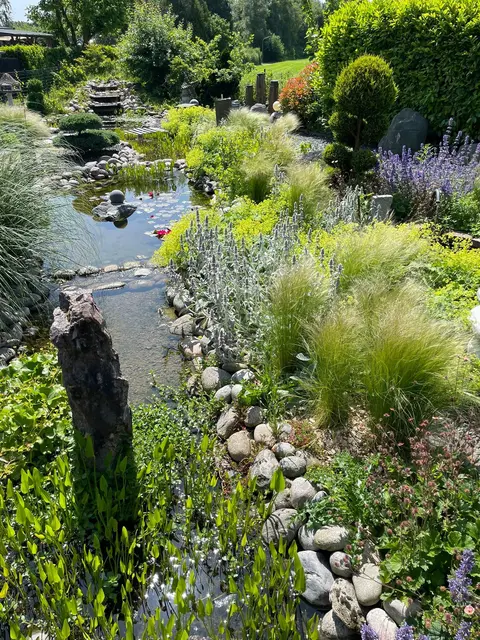 Foto: Gartenteichcenter Hinck
