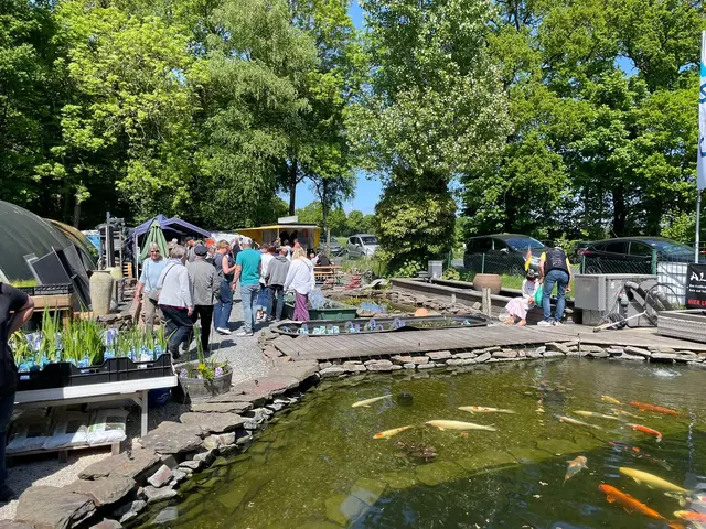 Die Teichfeste sind sehr beliebt | Foto: Gartenteichcenter Hinck