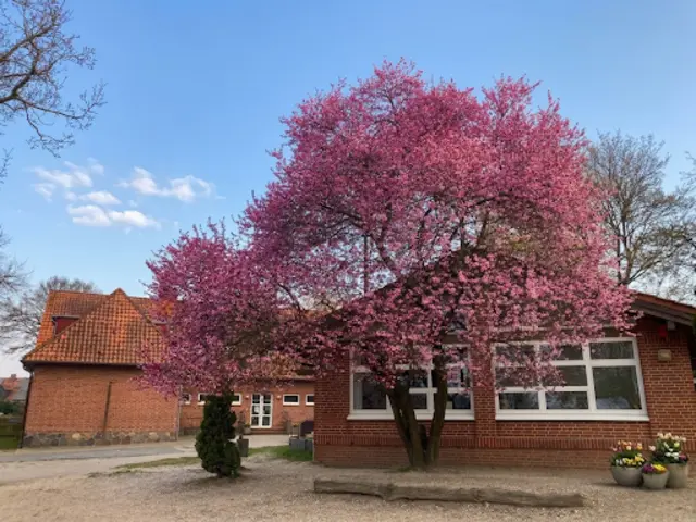 Die ehemalige Grundschule Eyendorf wird eine "Schule der Möglichkeiten" | Foto: Pauline Geyer