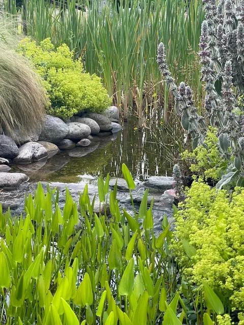 Foto: Gartenteichcenter Hinck