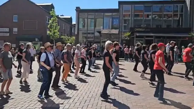 über 60 Teilnehmer beim Flashmob in Buchholz | Foto: Beechwood Dancer