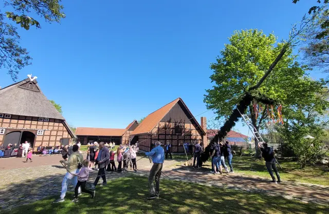 Maibaumaufstellen in Kutenholz | Foto: Stefan Zerbin