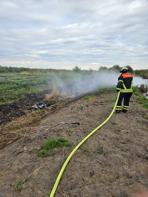 Das Feuer erfasste rund 200 Quadratmeter | Foto: Feuerwehr