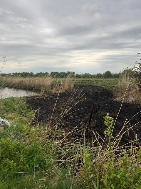 Am Sonntagabend wurde ein Flächenbrand in einem Obsthof in Höhe der Straße Bergfried in Guderhandviertel gemeldet | Foto: Feuerwehr