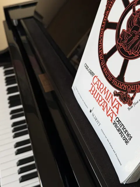 Jugendliche erarbeiten sich bei dem Chor-Workshop Carl Orffs Carmina Burana – Freude und Teamgeist stehen im Mittelpunkt | Foto: Sybille Groß