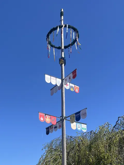 Der Maibaum in Fleestedt steht | Foto: TuS Fleestedt