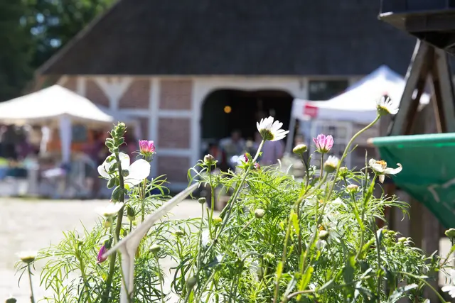 Hoffest am 17.5.26 auf dem Museumsbauernhof in Wennerstorf | Foto: FLMK