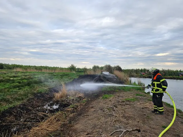 Der Flächenbrand konnte schnell gelöscht werden | Foto: Feuerwehr