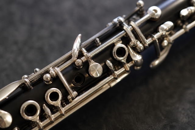 Beim Frühlingskonzert in der Erlöserkirche Vahrendorf steht die Oboe im Mittelpunkt | Foto: KI-generiert