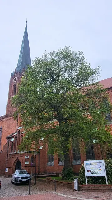 Die Petri-Kirche
