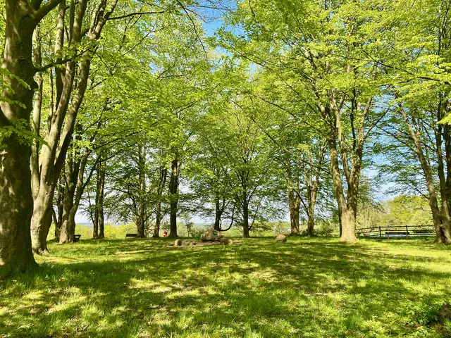 Hier auf dem Fuchsberg wird auch an Himmelfahrt ein Gottesdienst gefeiert.  | Foto: C.Wöhling