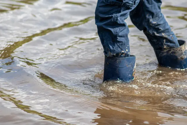 Die Zukunftswerkstatt widmet sich der Frage, wie gut das Alte Land vor Hochwasser geschützt ist | Foto: sunakri/Adobe Stock