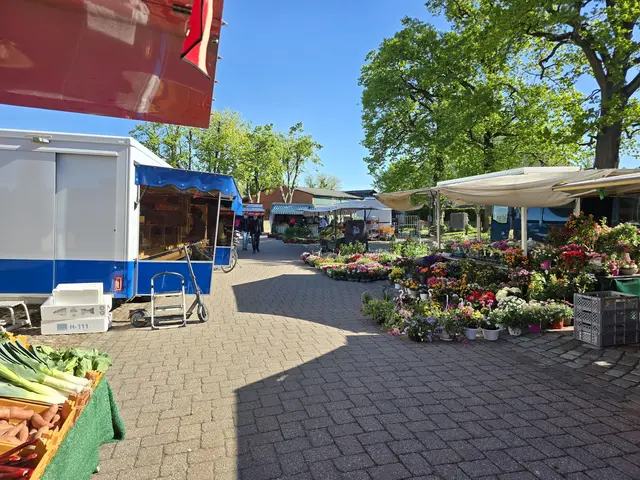 Der Tostedter Wochenmarkt feiert sein 45-jähriges Bestehen | Foto: Gemeinde Tostedt