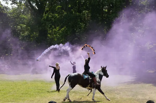 Spektakuläre Pferdeshows werden beim Country-Fest gezeigt | Foto: Country Club Wild West