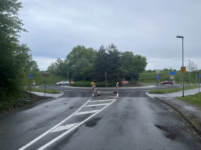 Ein Kreisverkehr mit zwei Autos. In der Mitte des Kreisels befinden sich Bäume, Büsche und Sträucher