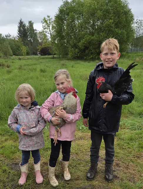 Auf dem Bild sind die Sieger Jella und Jara Meyer mit ihren Hahn Ole und Finn Arndt mit seinem Siegerhahn zu sehen. | Foto: Verein