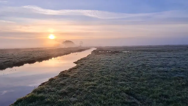 Bullenbruch  | Foto: Henning Kunze